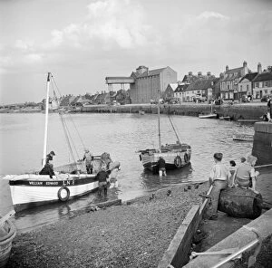 Catching the wind Collection: Whelk boats, Norfolk a98_14631