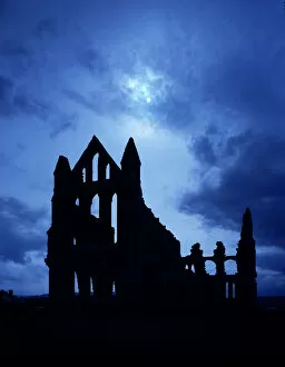 Ruin Collection: Whitby Abbey J850257