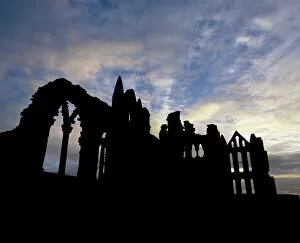 Dawn Collection: Whitby Abbey K020984