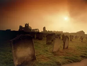 Grave Yard Collection: Whitby Abbey K100006