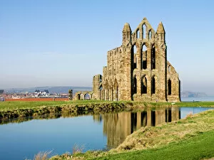 Whitby Abbey Collection: Whitby Abbey N080548