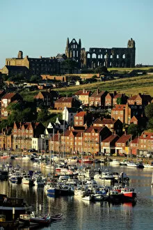 Harbour Collection: Whitby Abbey N080818