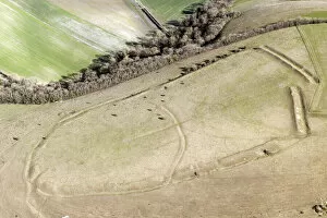 Hillforts Collection: Winkelbury Hill 29833_009
