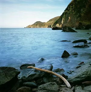 Images Dated 3rd January 2008: Woody Bay, Devon K020604
