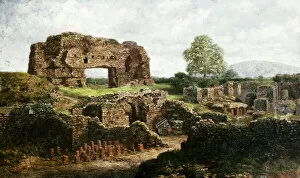 Ruin Collection: Wroxeter Roman City E910155