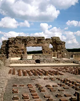 Archaeology Collection: Wroxeter Roman City J900276